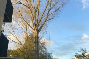 PHOTO-2020-11-13-15-46-58